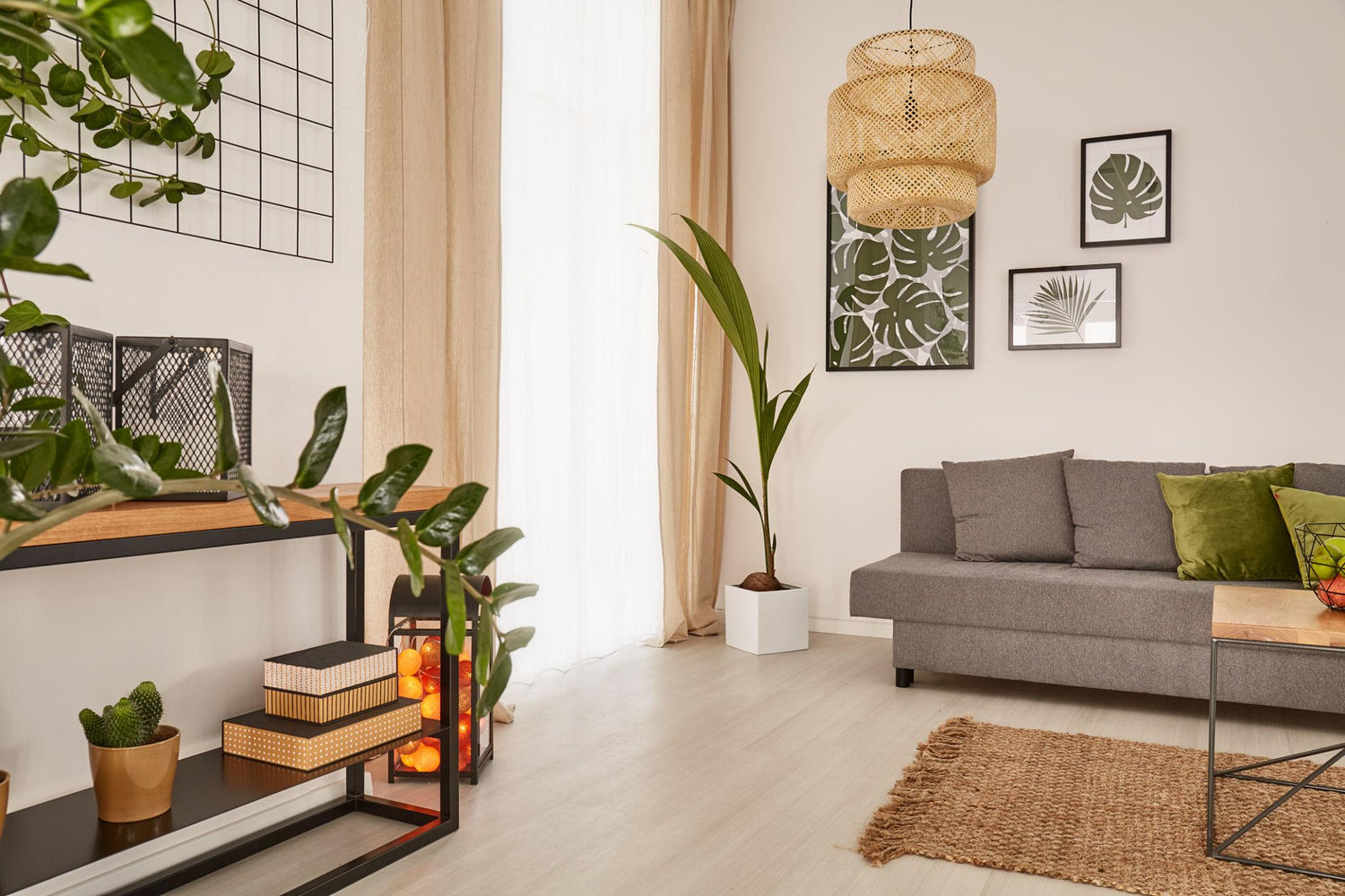 EcoLuxe Living