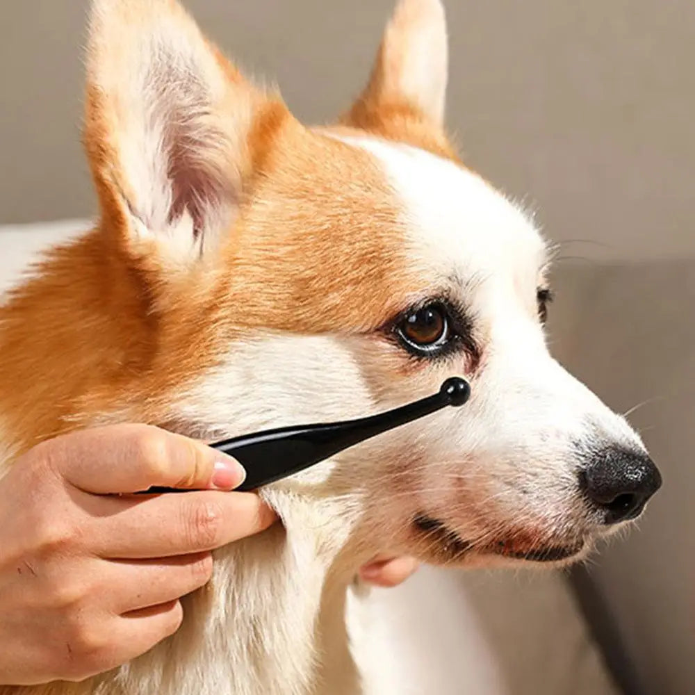 Paw Lume Healing Balm