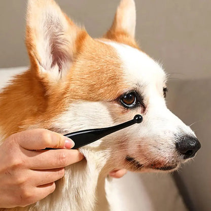 Paw Lume Healing Balm