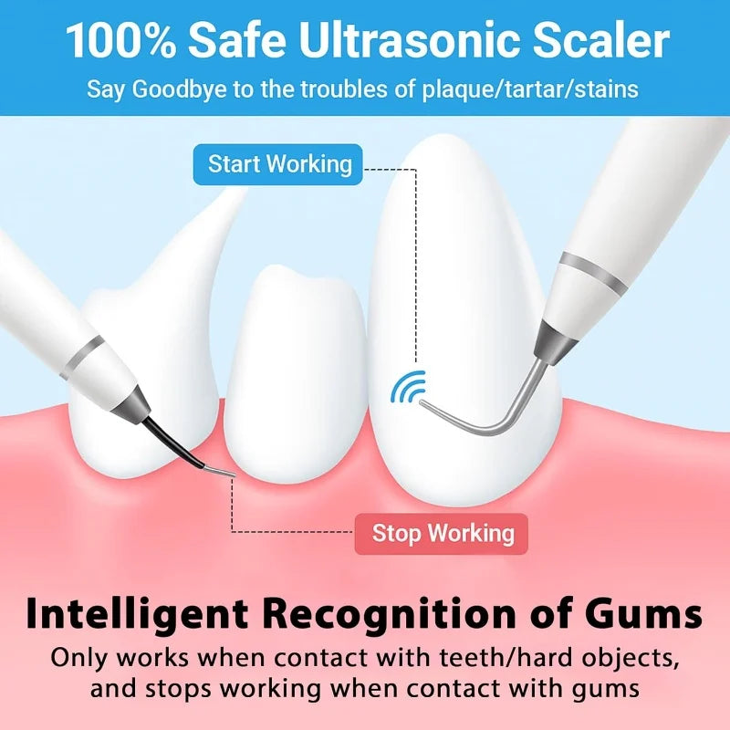 Paw Spark Dental Cleaner